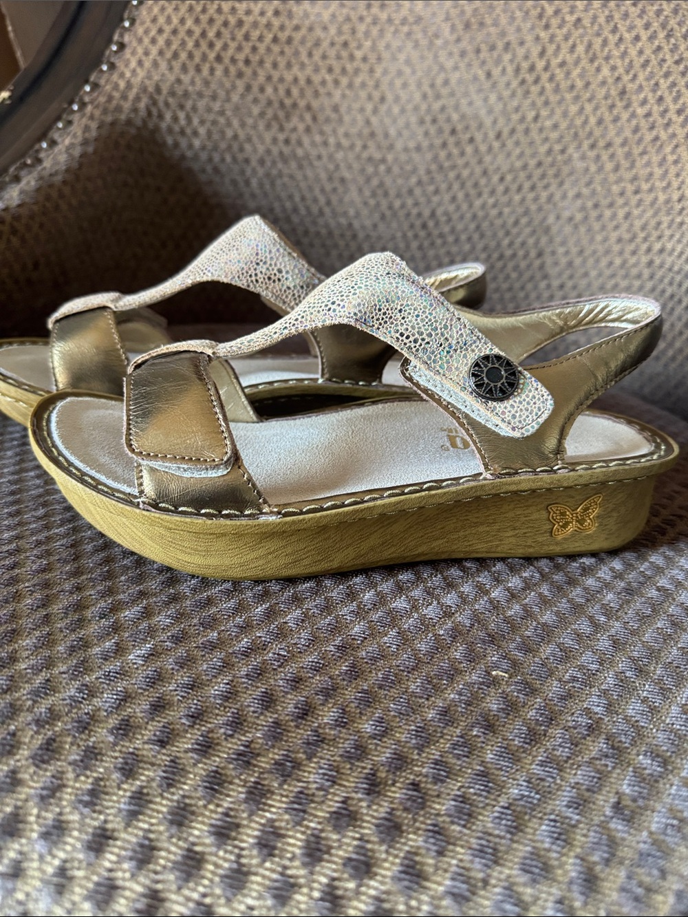 Alegria Metallic Gold and Champagne T-Strap Sandals - Picture 3 of 6